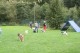 Thumbs/tn_Bild 013.jpg